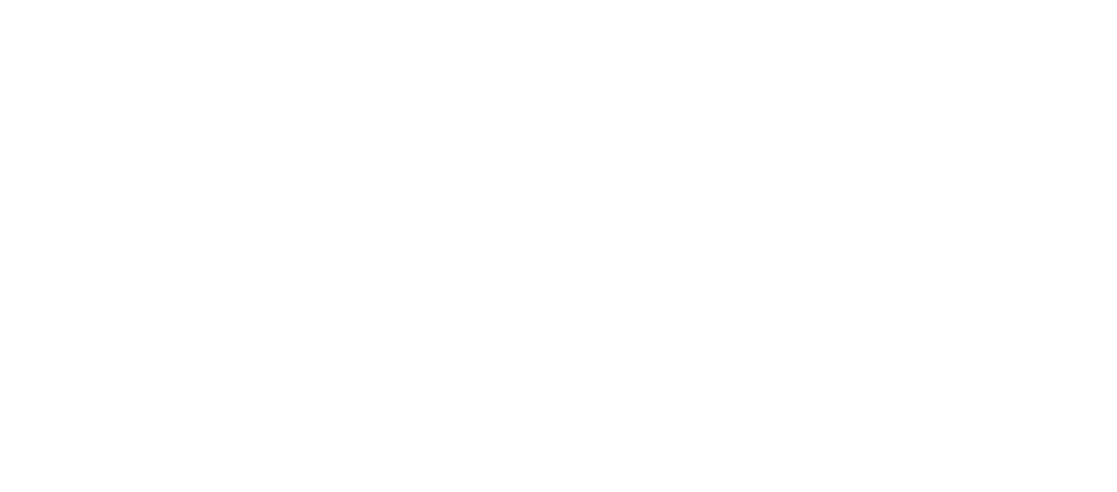 solitics logo