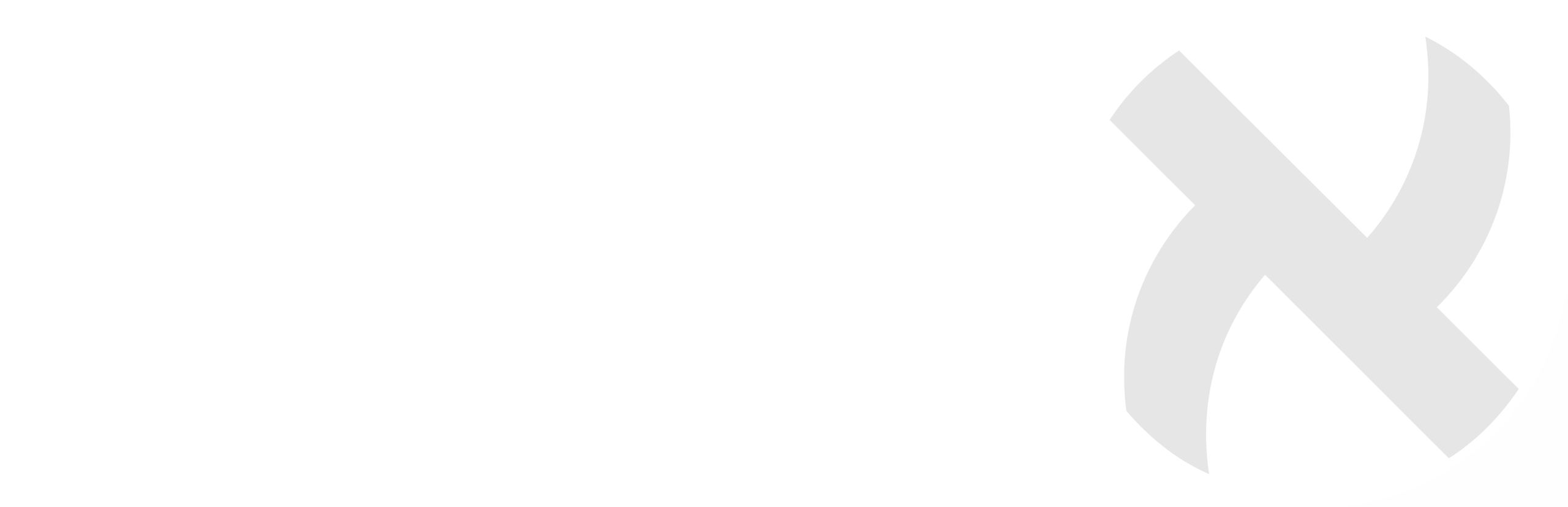 ayalon logo