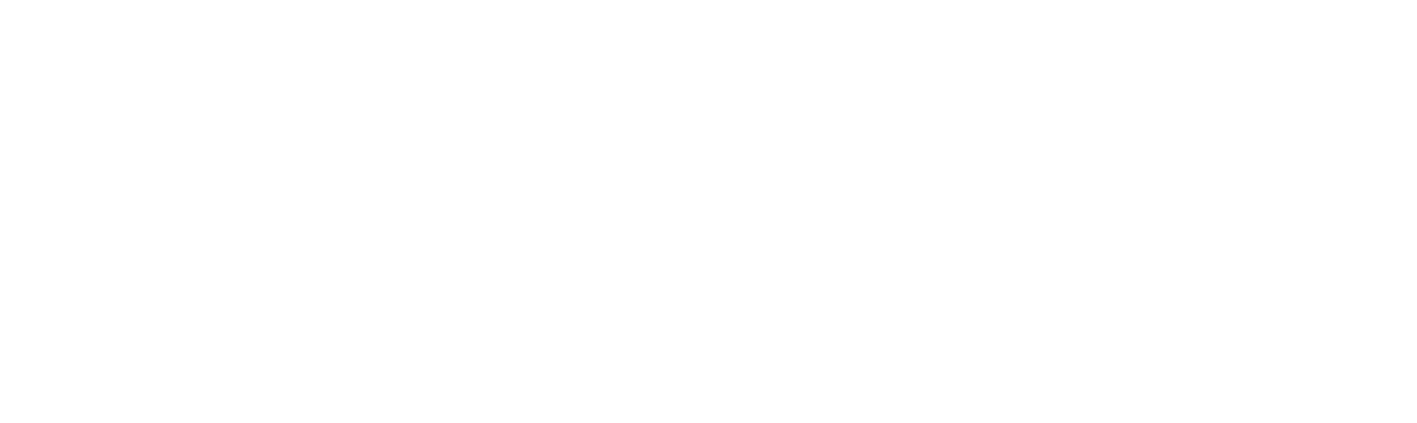 menora logo
