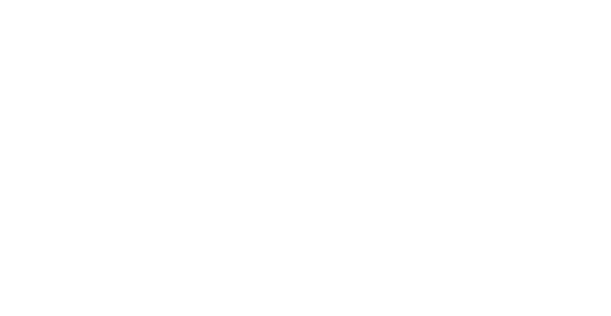 noga logo